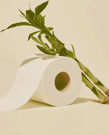 Bamboo tissue paper